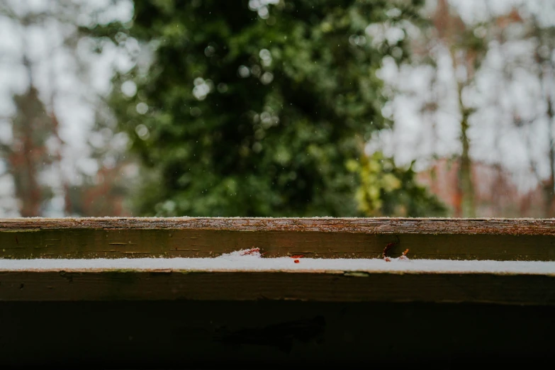 a bird is sitting on top of a bench