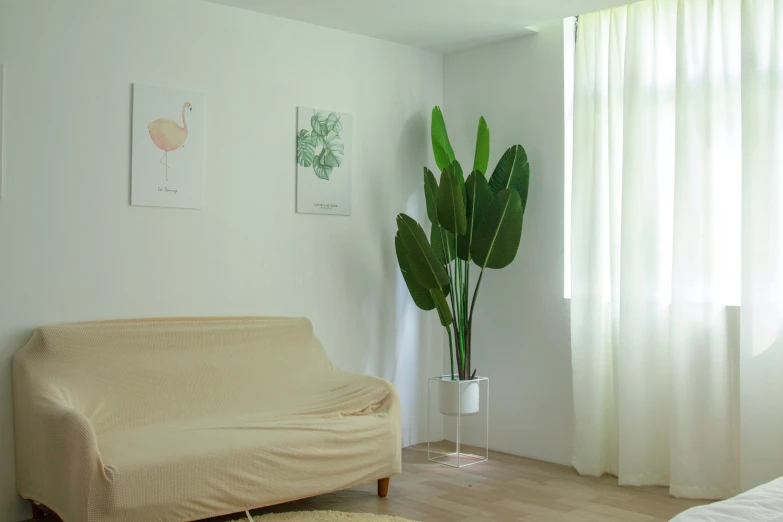 a couch with some plants in it against a wall