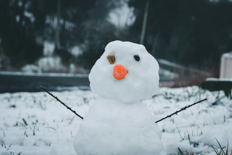 a snowman is dressed up in the winter