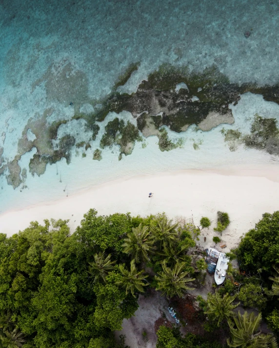 a boat sitting on top of a sandy beach next to a forest covered beach