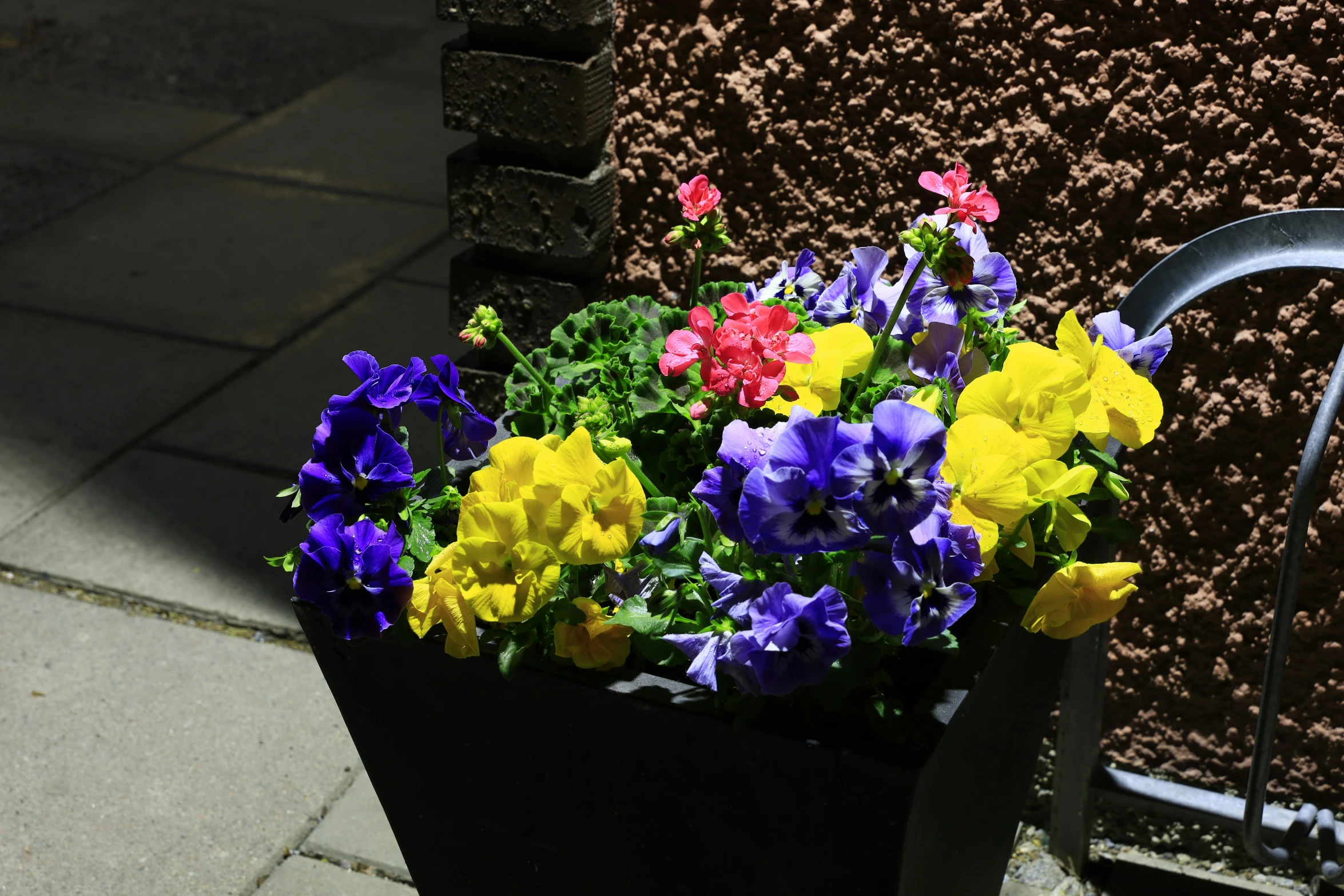 an image of a planter filled with purple, yellow and red flowers