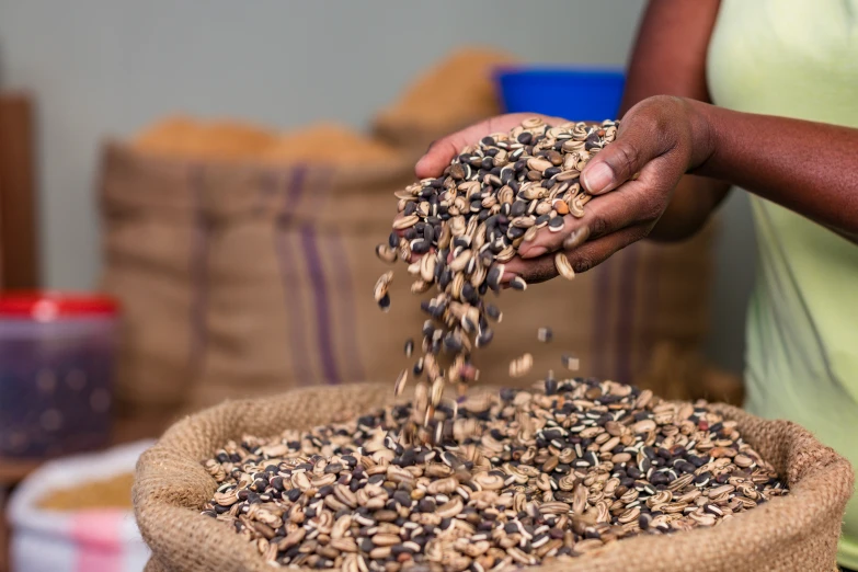 someone is sprinkling seeds with seed mix into a bag