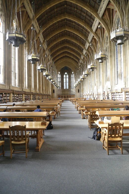 students study in the book section of an older style liry