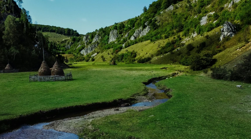 this is a beautiful s of a grassy, stream in front of a grassy hill with many trees