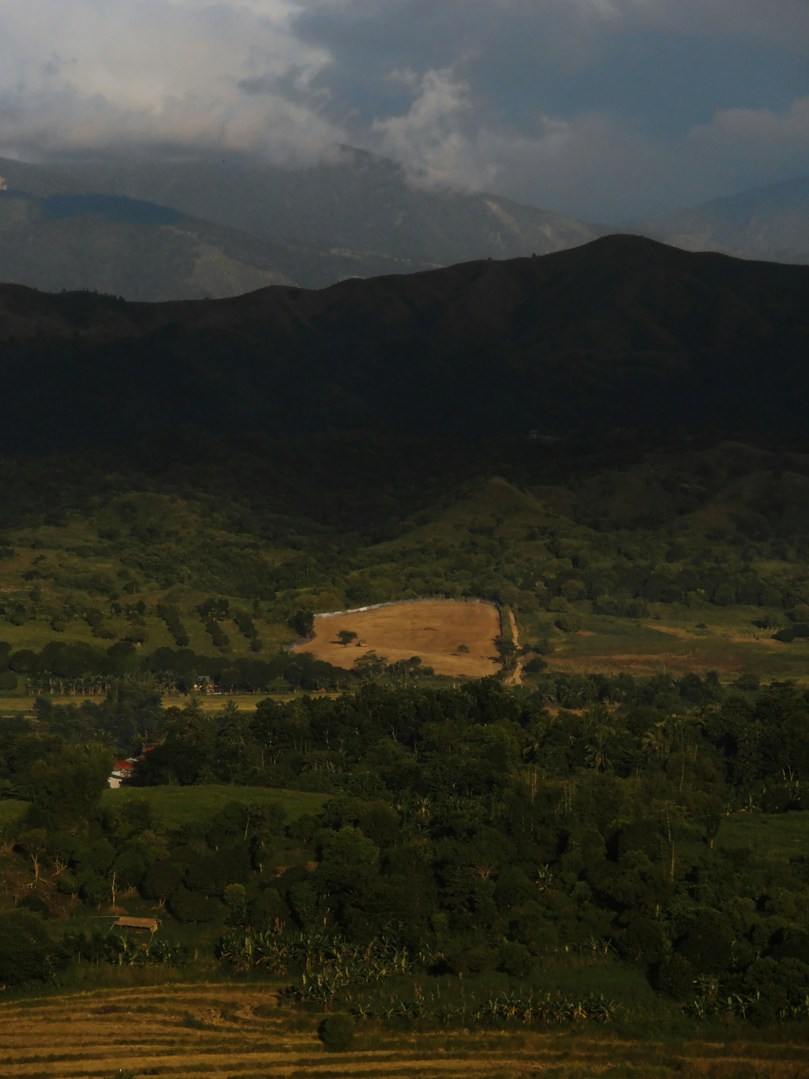 landscape with mountains and trees in the foreground