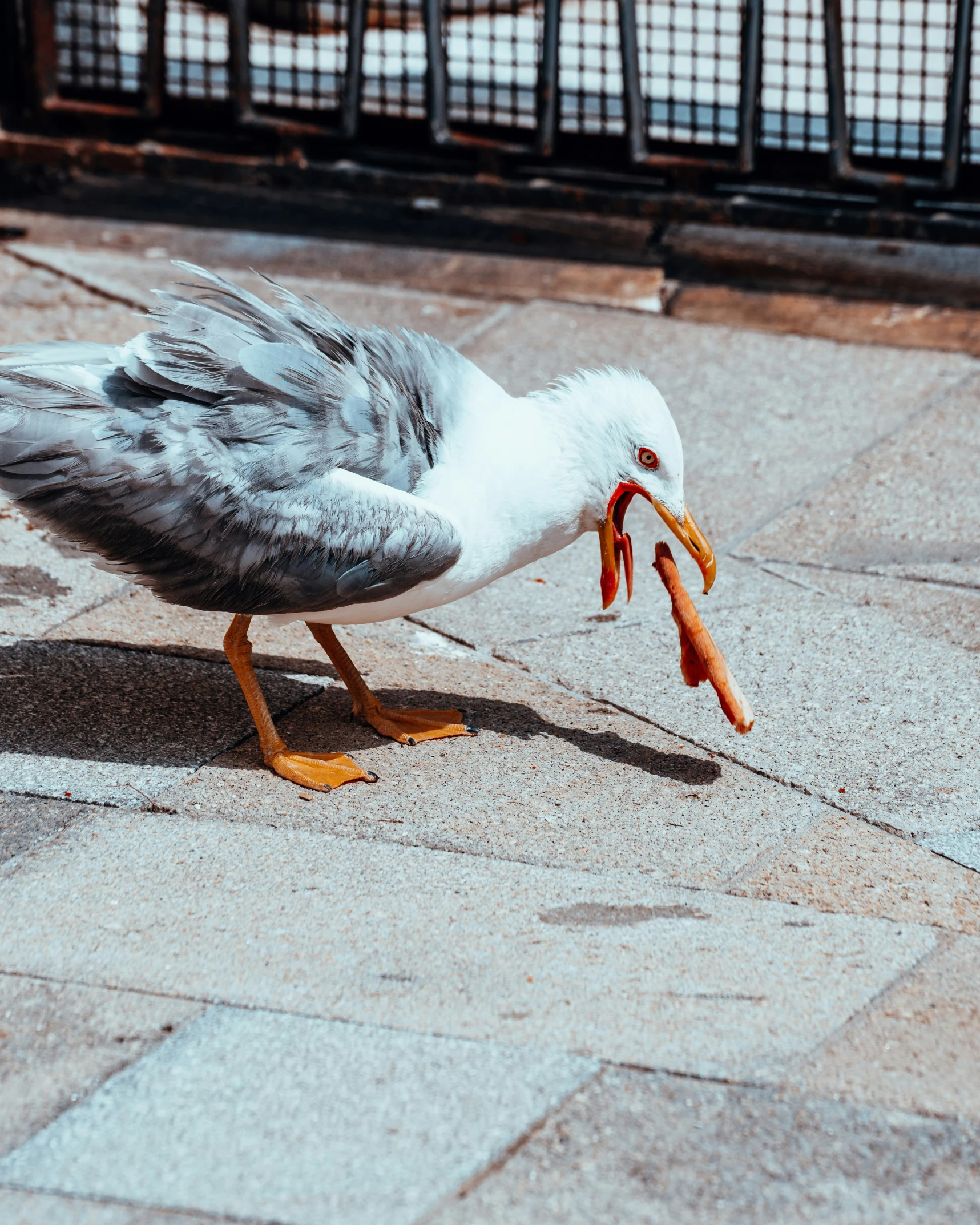 a seagull holding a piece of carrot in it's mouth