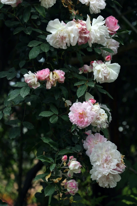 the large bouquet is covered with many beautiful flowers