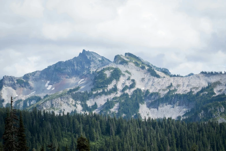 a forest area with trees and mountains in the background