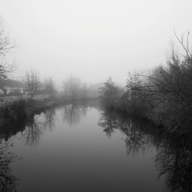 the water is surrounded by fog and trees