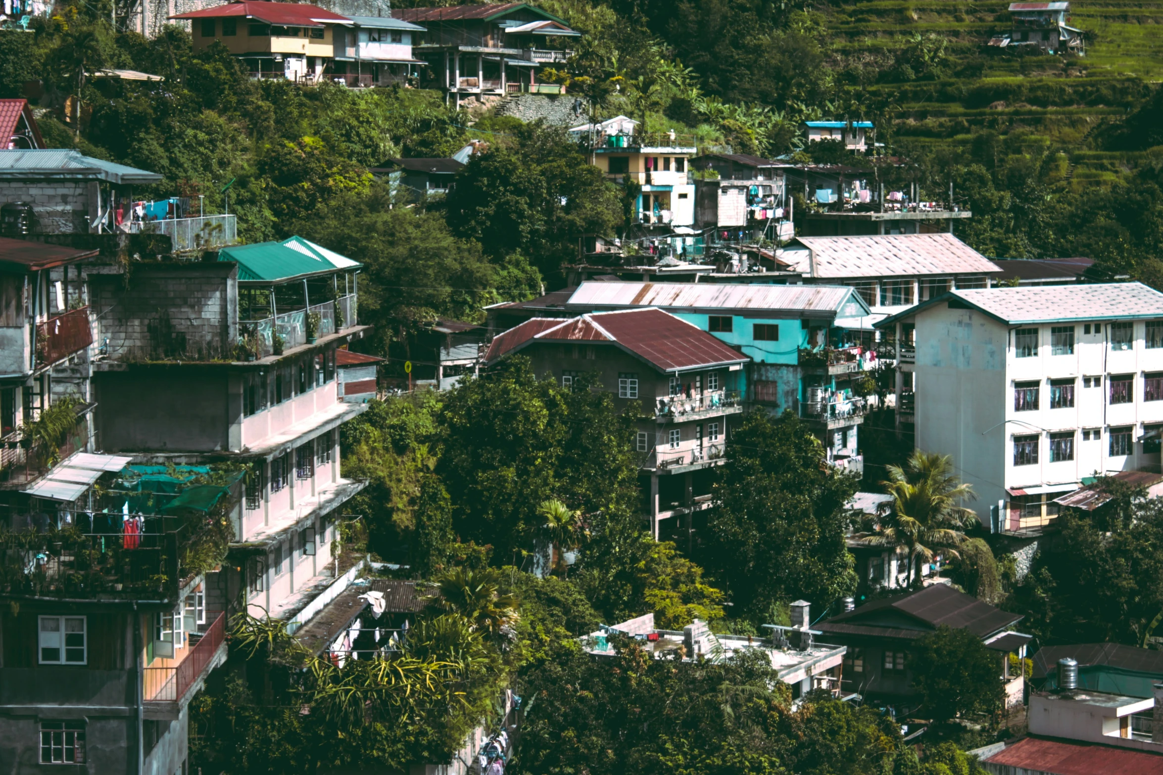 some green trees and a couple buildings that are white and blue