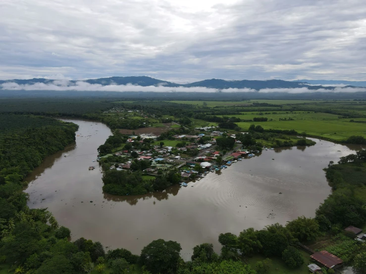 a large body of water sitting in the middle of a lush green forest