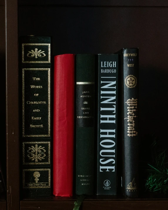 a shelf with books and some greenery on it