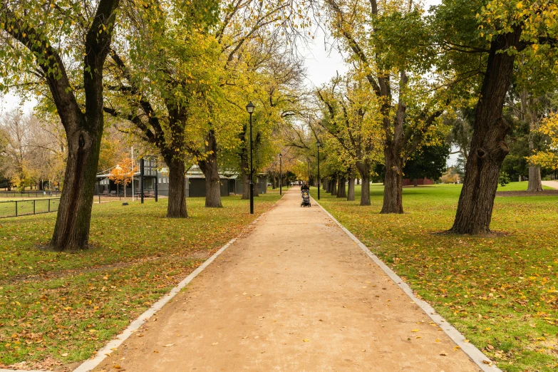 the dog is walking down the sidewalk through the park