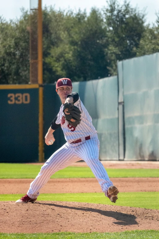 a pitcher in action on the mound during a baseball game