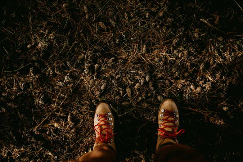 a persons shoes that is standing on some grass