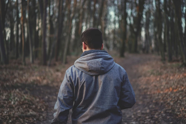 the back view of man in hooded sweatshirt looking out at trees