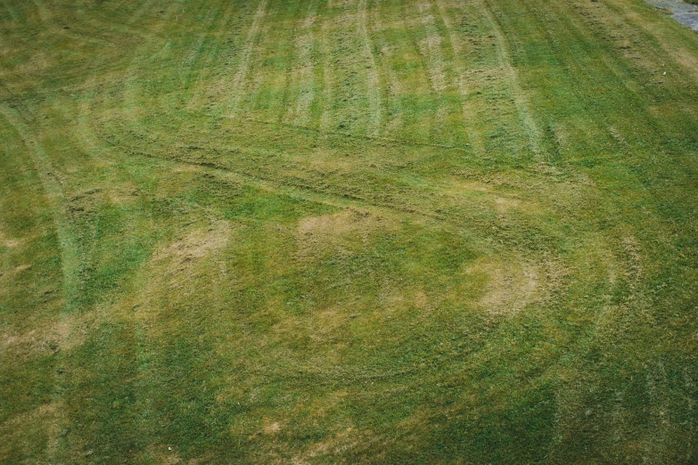 someone in the middle of their lawn with a green umbrella