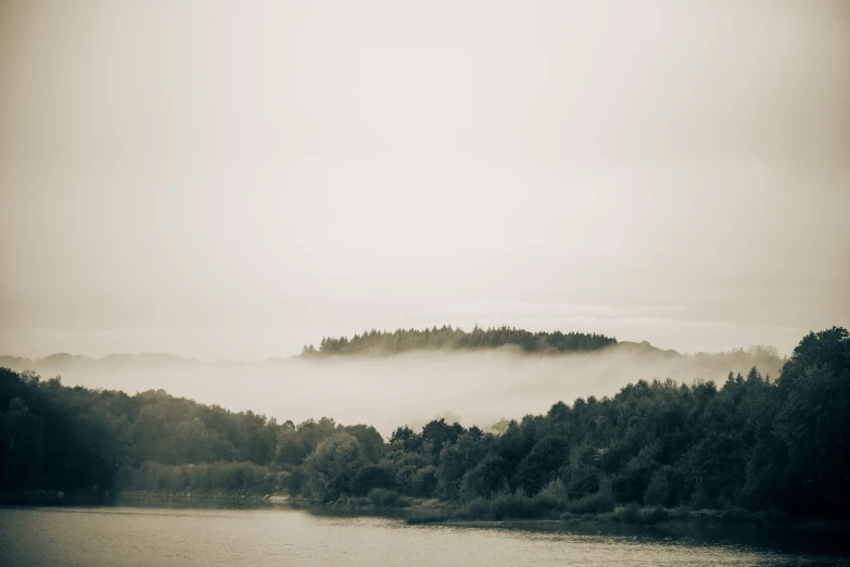 an empty river with trees in the mist