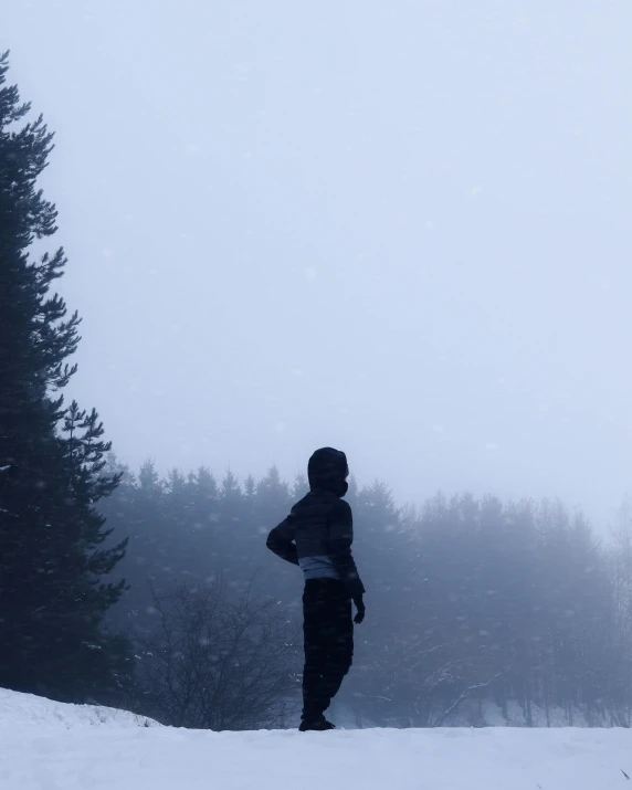 a person standing on a hill in the snow