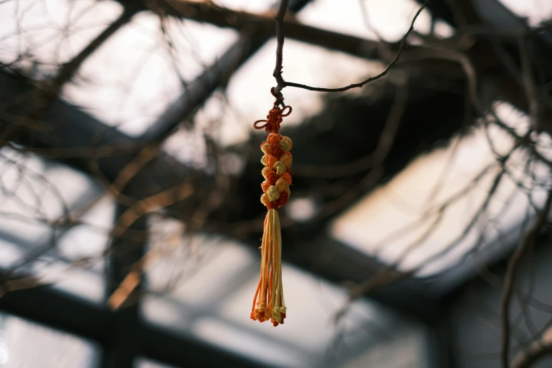 a colorful long necklace hangs from a tree nch