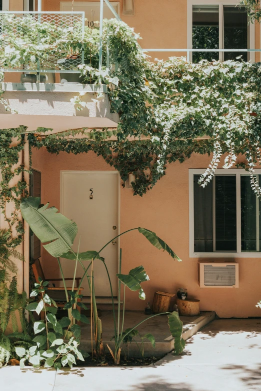 a door leading into a building with plants growing up it