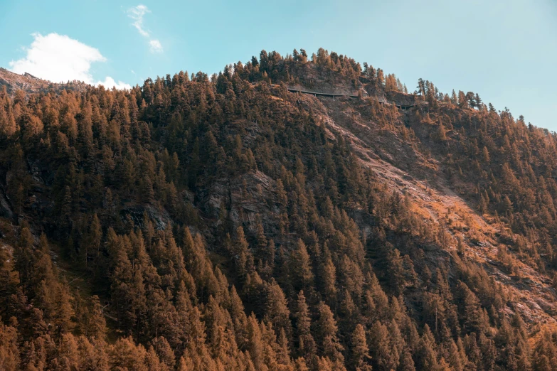 the top of a tree covered mountain