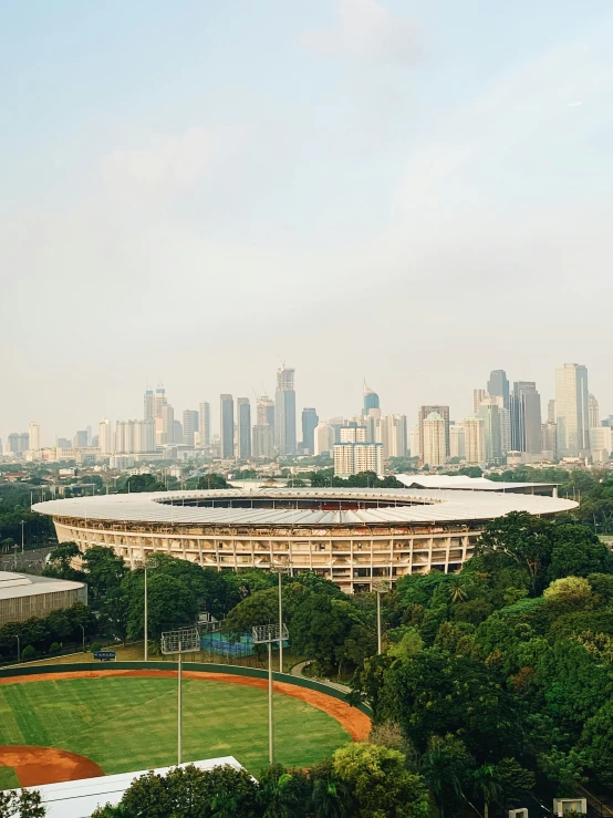 view of the houston skyline with the city in the background