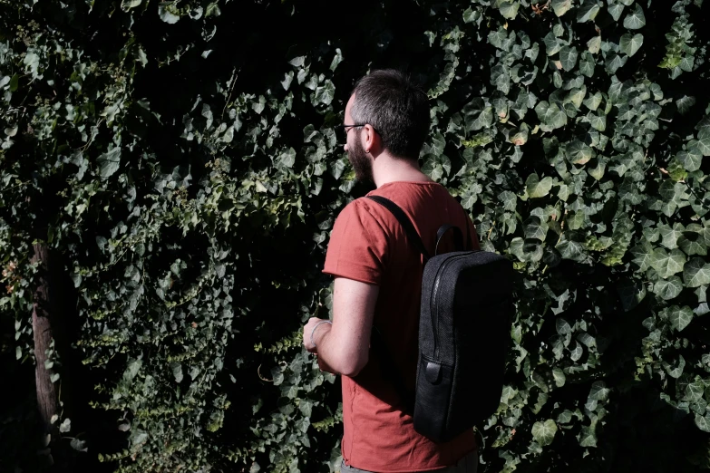a man is looking at the wall of foliage