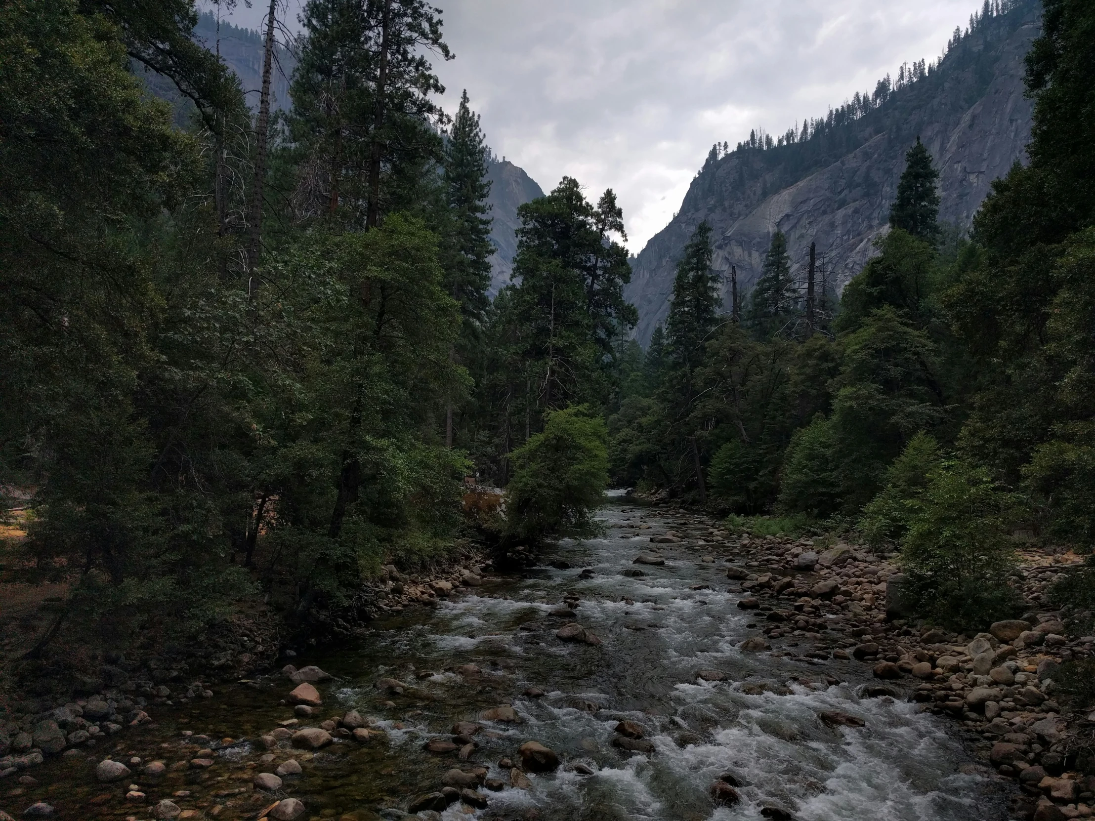 river with rocks flowing down and trees lining the bank