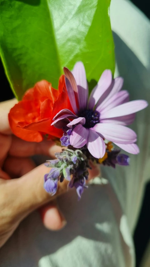 flowers and leaves being held by someone holding them