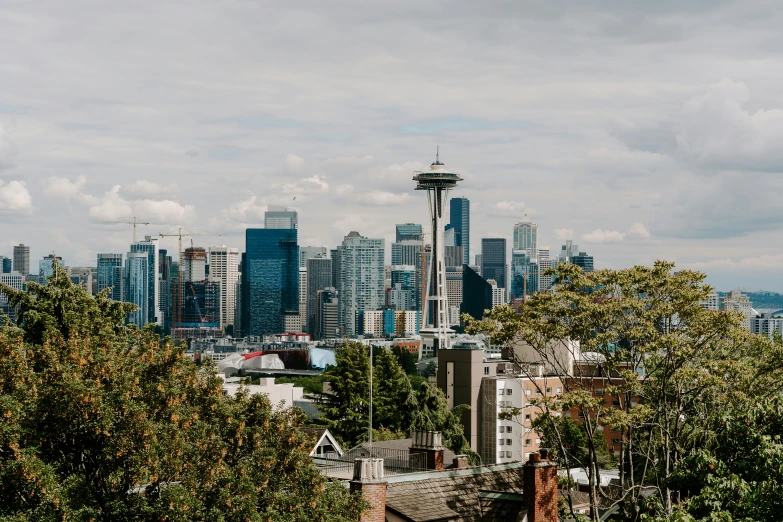 a view of a city skyline with a space needle in the center