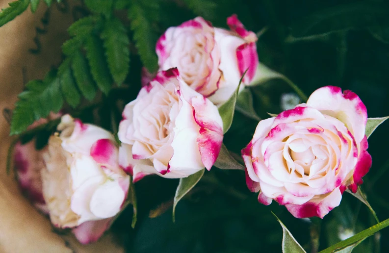 pink and white flowers in a vase with leaves