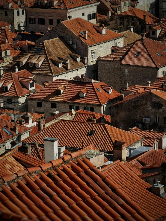 many roofs and buildings are seen in this po