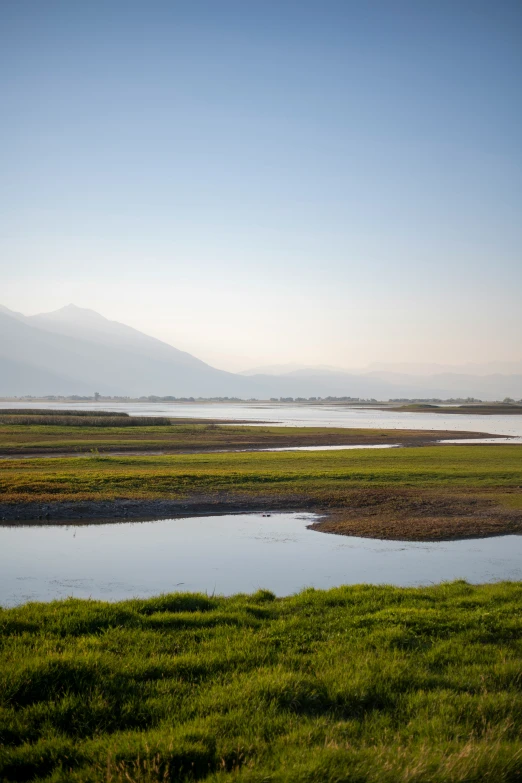 some water sitting near a field with mountains in the background