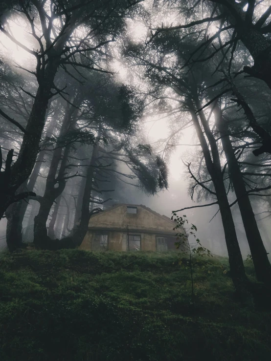 this is an image of fog in a cabin