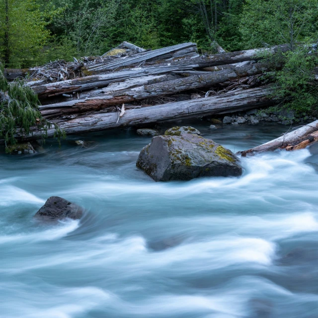 the water is rushing by some logs in a stream