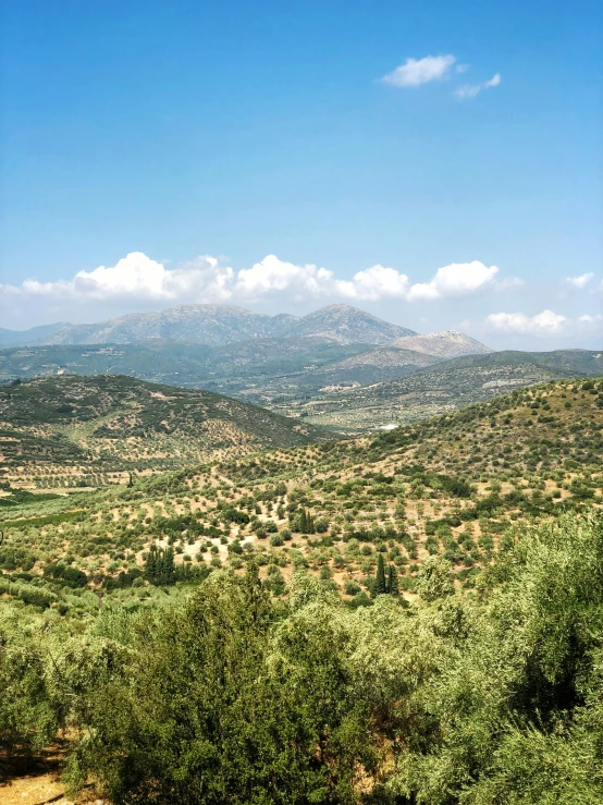 a view of mountains and trees from an overlook