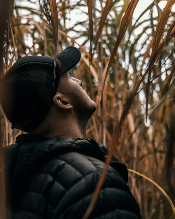 a person stands near a field with wheat