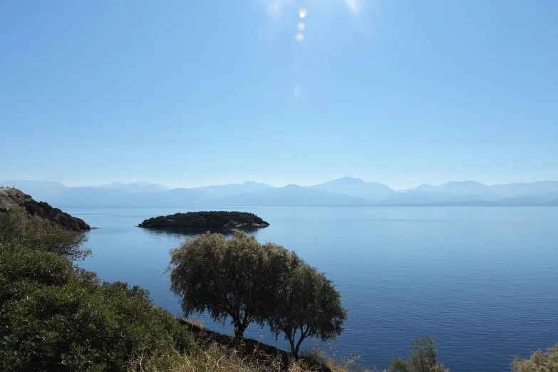 the water is calm and blue with two trees in front