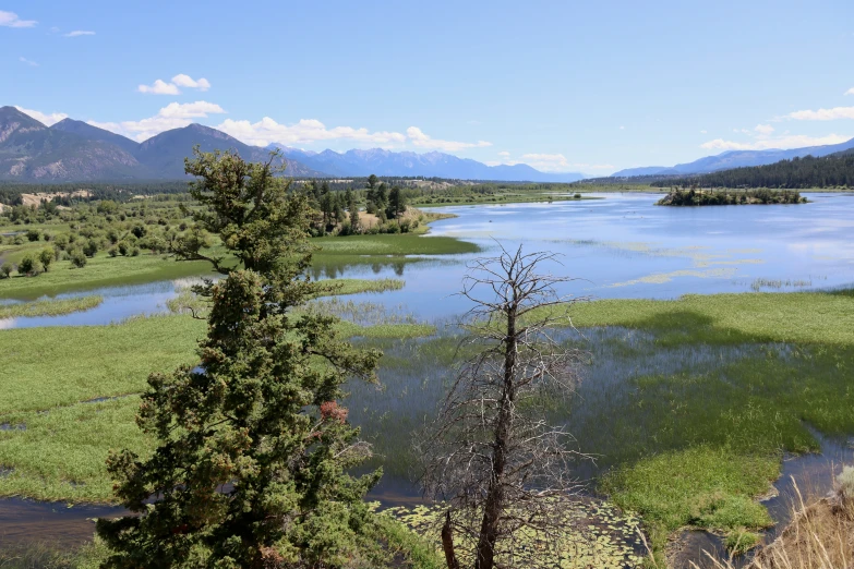 a large body of water surrounded by grass