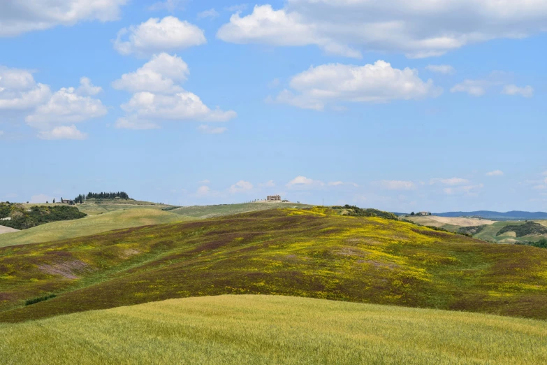 a field on a hill with grass and hills in the background