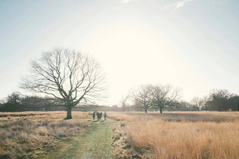 people standing in a field looking out towards the sky