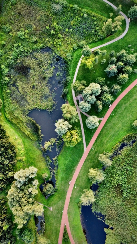 winding road winds through a lush green landscape