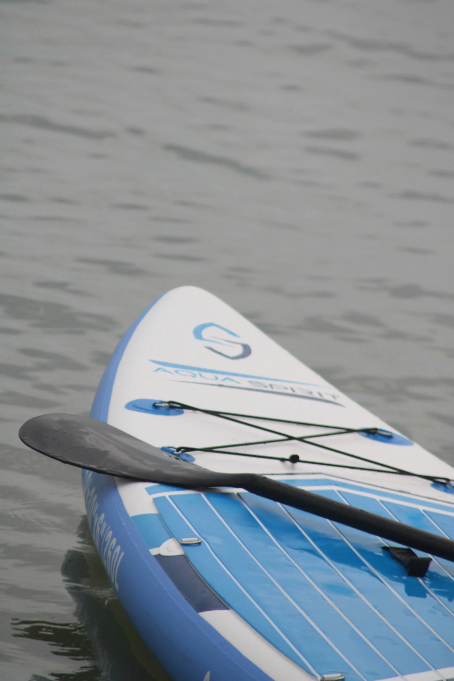 an oar sits in the calm water of the lake