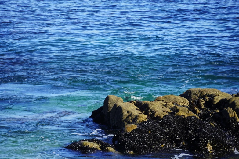 the lone bird is standing on the large rock near the water