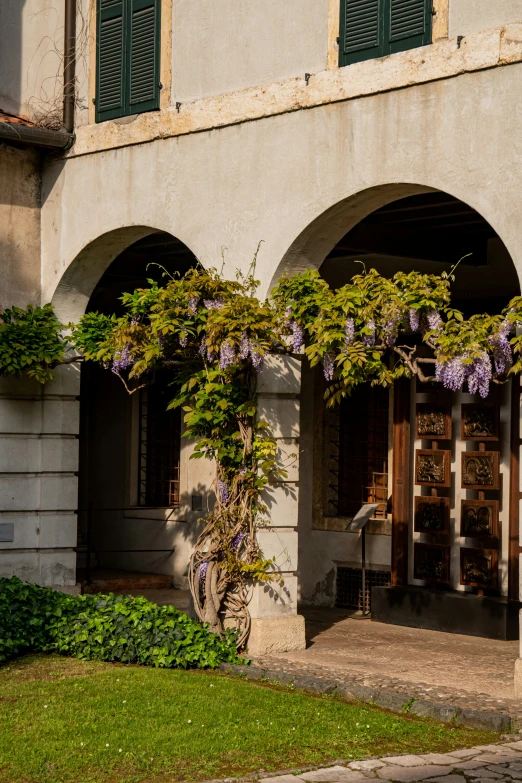 an old building with green plants growing out of it