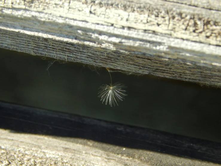 the bottom half of a wooden bench with spider web