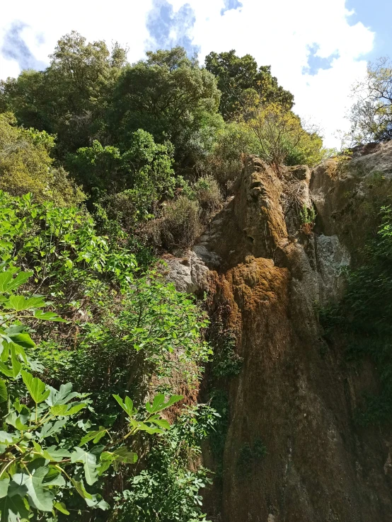 a small waterfall falling into the woods