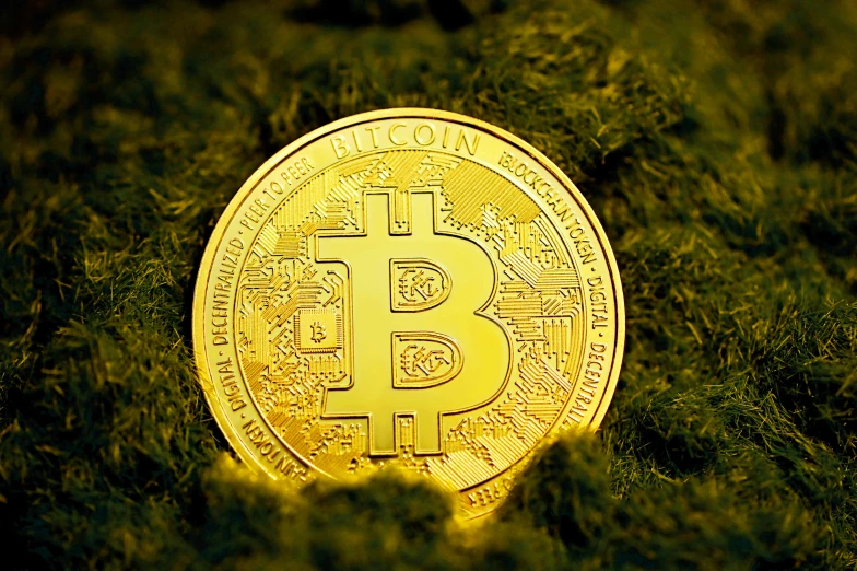 a bitcoin in grass as the background