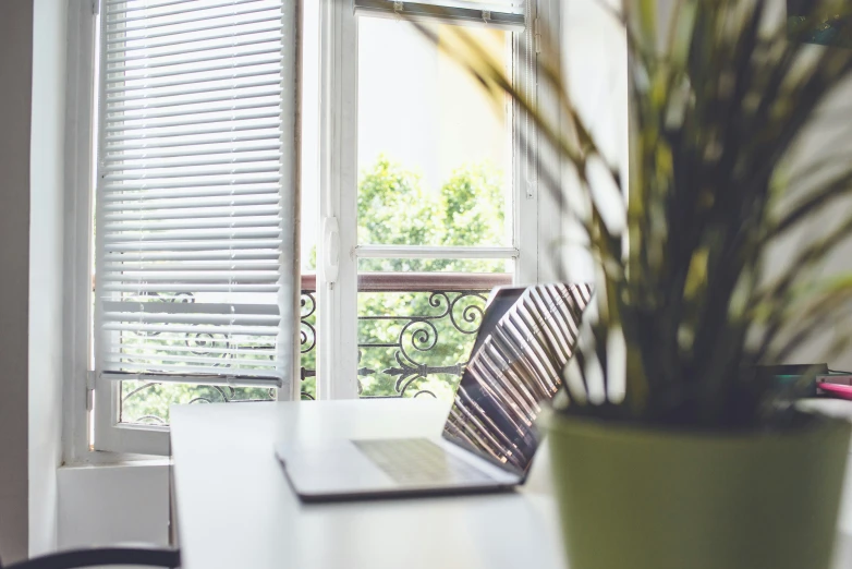 a desk with laptop and plant by the window